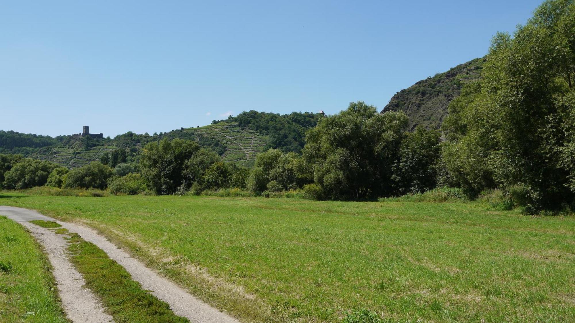 Hotel-Garni-Kachelburg Dieblich Εξωτερικό φωτογραφία