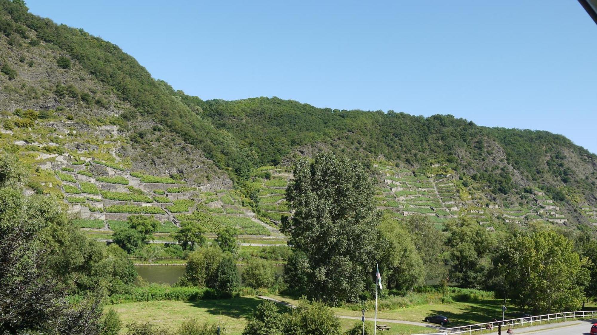 Hotel-Garni-Kachelburg Dieblich Εξωτερικό φωτογραφία