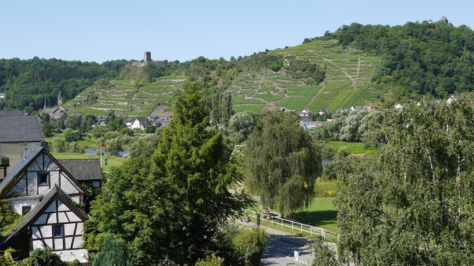 Hotel-Garni-Kachelburg Dieblich Εξωτερικό φωτογραφία